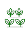 Desarrollos Agrovoltaicos S.L.